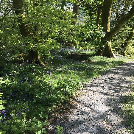 173A Woodland Way Hotel Porthmadog Bagian luar foto